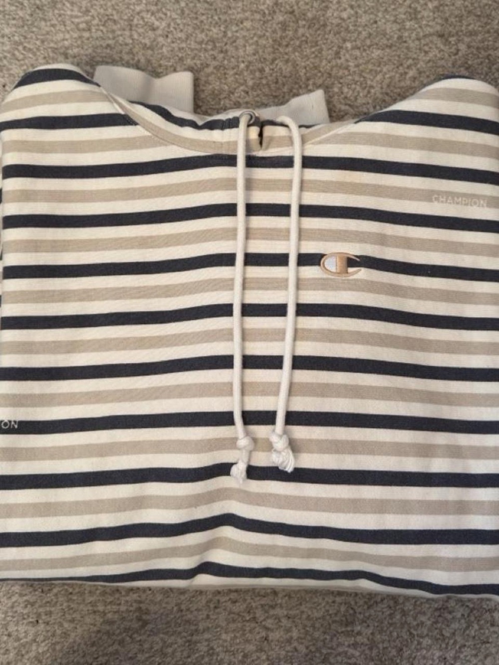 Striped Champion Reverse Weave Hoodie